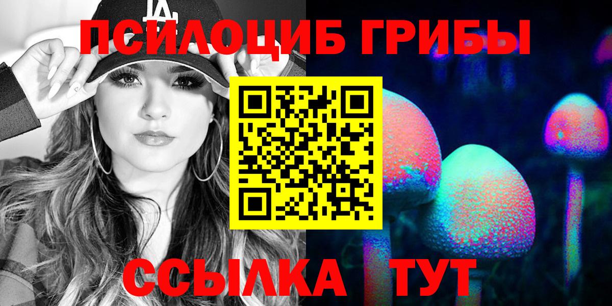 сколько стоит  Псилоцибиновые грибы Magic Shrooms  Дзержинск  Вход с VPN  Псилоцибиновые грибы Psilocybe 
